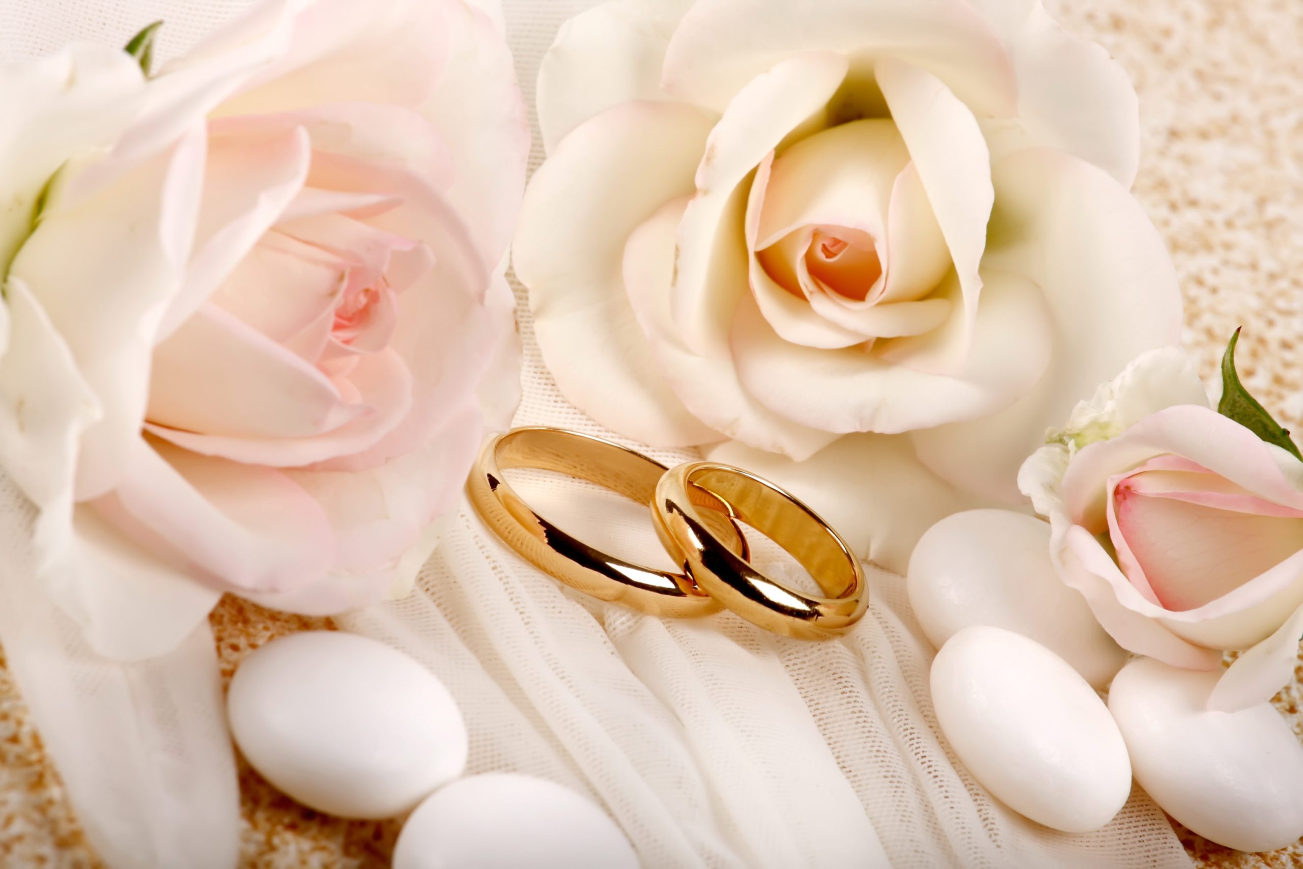 rings wedding roses scaled